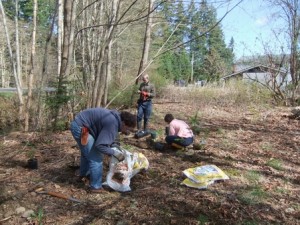Our intrepid volunteers had a much better day when they returned on 16 Apr to put in native plants to fill out the lot and, hopefully, prevent the invasive plants from moving back in. Photo by K Clouston
